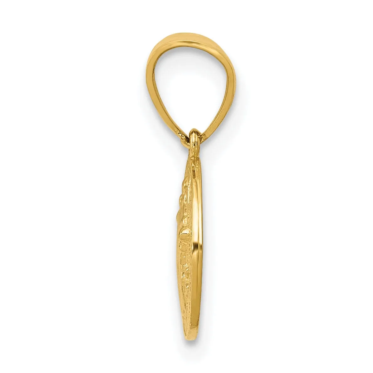 14k Yellow Gold San Benito Round Pendant